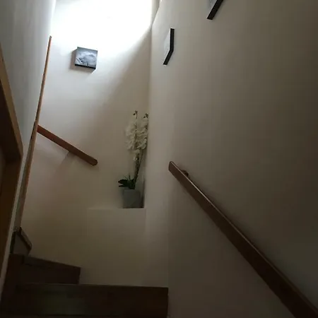 Feherlo 2 Apartmán